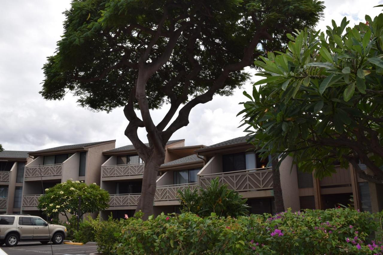 Kihei Holiday 116 Dış mekan fotoğraf